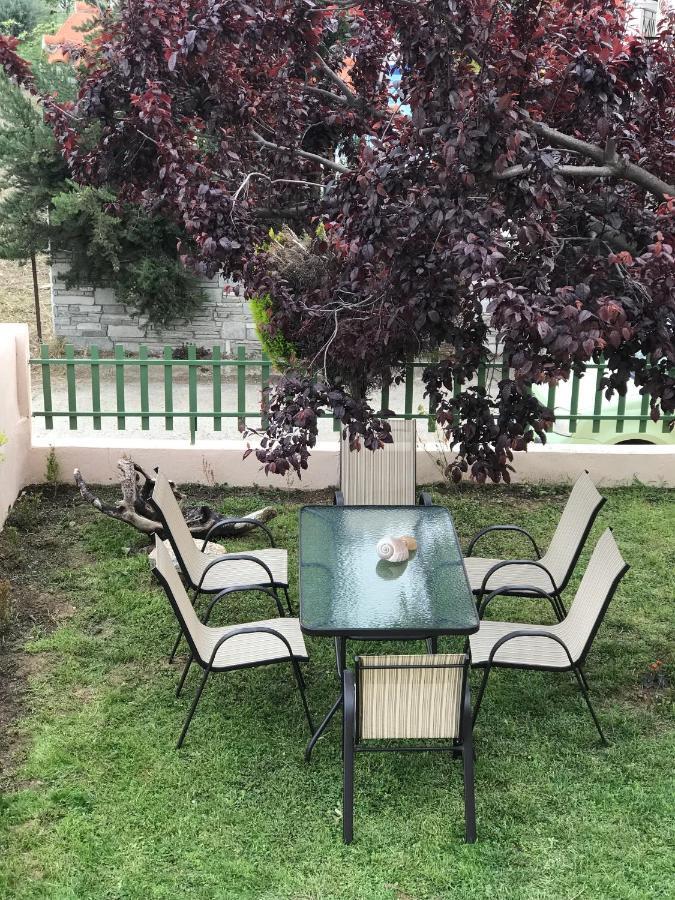 Dimitra'S And Nasia'S Villa Psakoudia Bagian luar foto